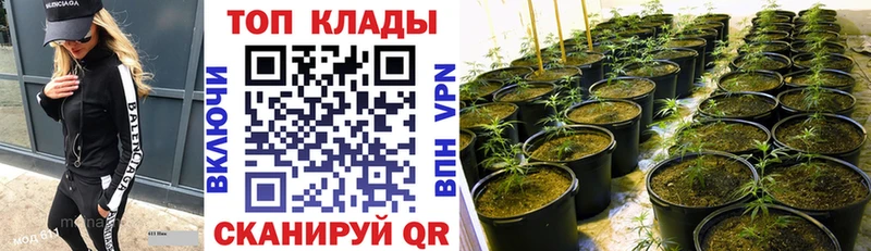 Галлюциногенные грибы Новоалтайск