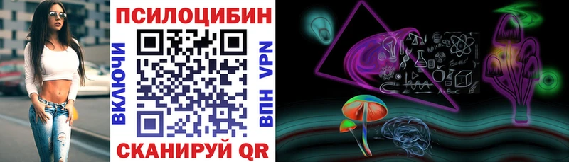 OMG сайт Новоалтайск Галлюциногенные грибы GOLDEN TEACHER
