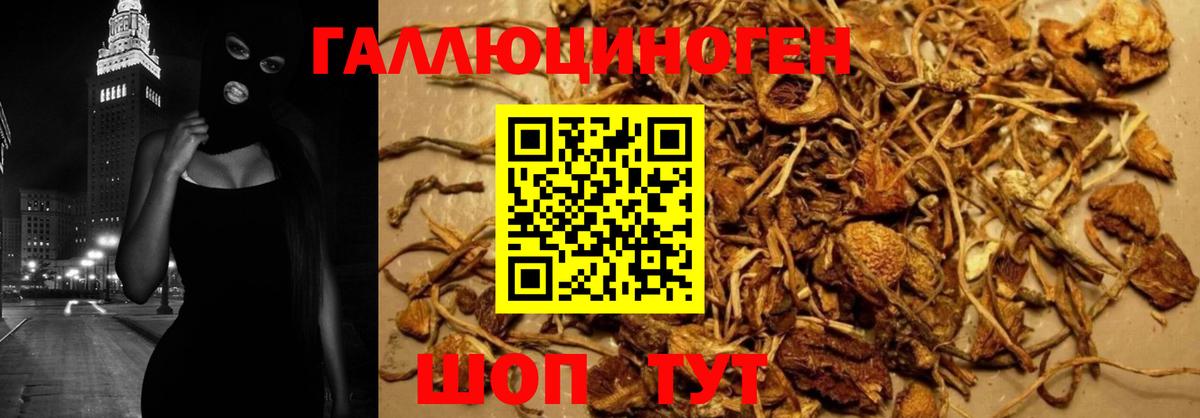 Галлюциногенные грибы MAGIC MUSHROOMS  Псилоцибиновые грибы Magic Shrooms  Новоалтайск  Вход с VPN 