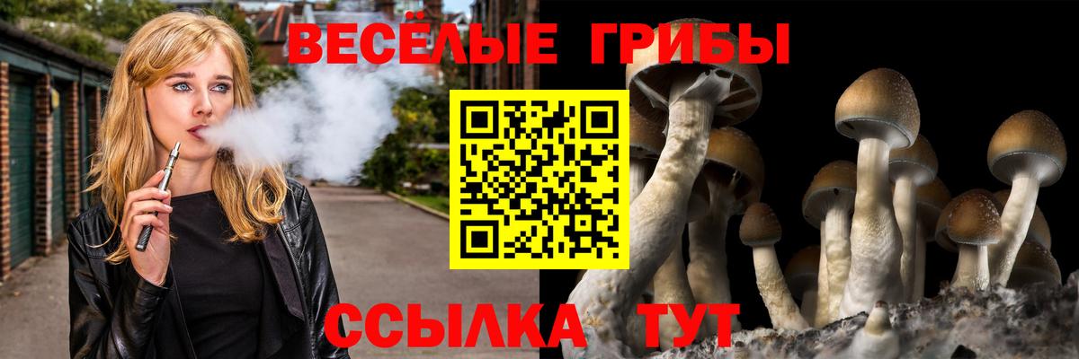 Псилоцибиновые грибы прущие грибы Новоалтайск